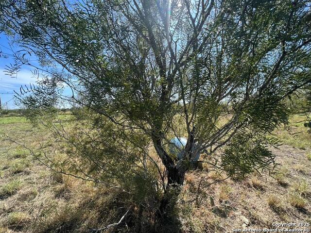 Image 14 of 14 For 204 Camino Bolivar