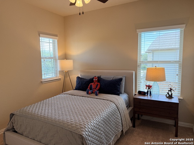 Image 16 of 31 For 10263 Shadowy Dusk