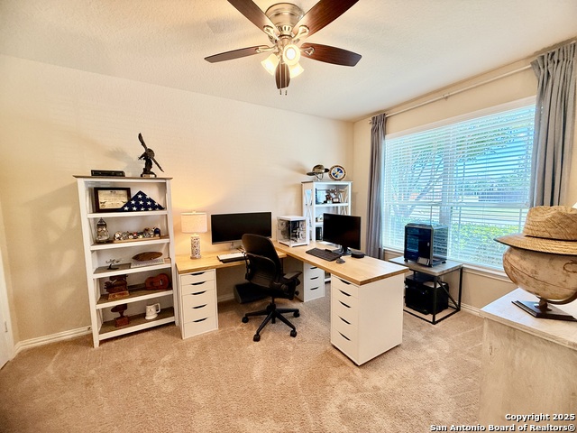 Image 4 of 31 For 10263 Shadowy Dusk