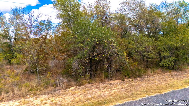 Image 5 of 15 For Lot 24 Workman