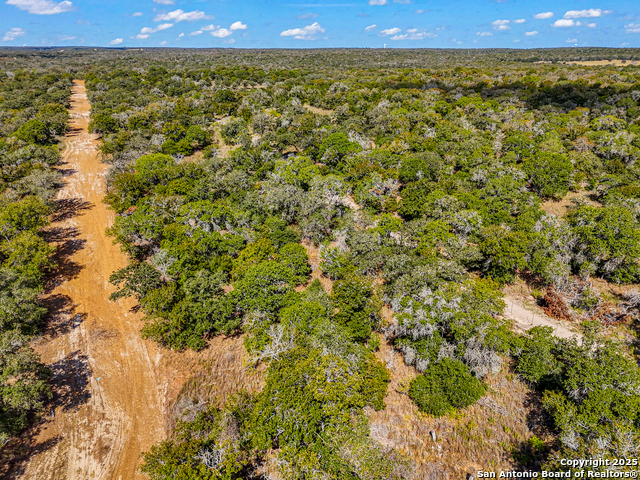 Image 11 of 23 For 914 Swallows Ln