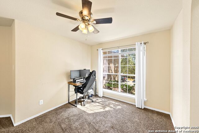 Image 16 of 39 For 1523 Alaskan Wolf