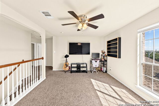 Image 20 of 39 For 1523 Alaskan Wolf