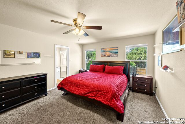 Image 21 of 39 For 1523 Alaskan Wolf