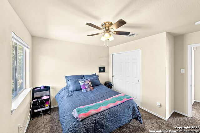 Image 30 of 39 For 1523 Alaskan Wolf