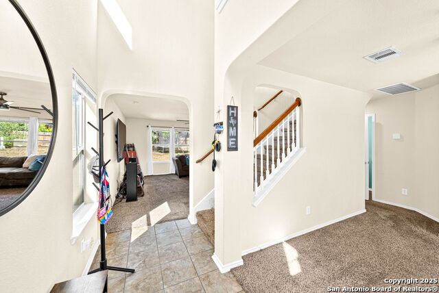 Image 6 of 39 For 1523 Alaskan Wolf