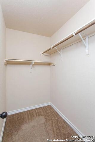 Image 12 of 13 For 6510 Melanzane 104