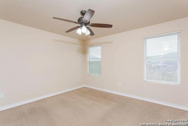 Image 8 of 13 For 6510 Melanzane 104