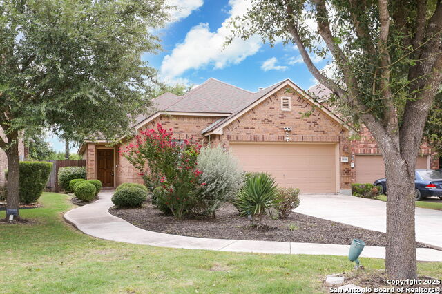 Image 2 of 25 For 11006 Colt