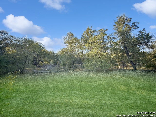 Image 46 of 50 For 246 Cibolo Way