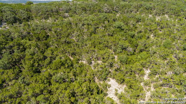 Listing photo id 8 for Tbd Lake View Trl
