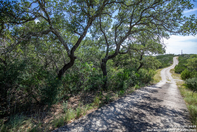 Listing photo id 9 for Tbd Lake View Trl