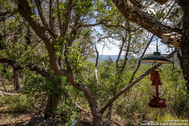 Listing photo id 11 for Tbd Lake View Trl