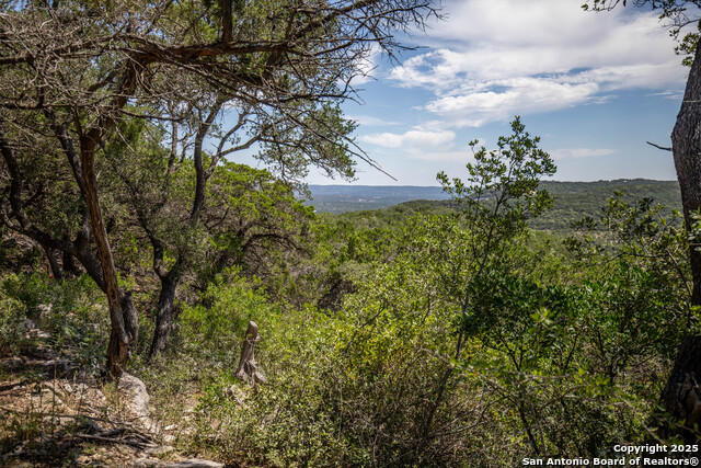 Listing photo id 12 for Tbd Lake View Trl