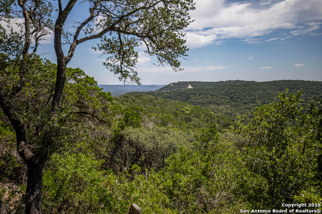 Listing photo id 13 for Tbd Lake View Trl