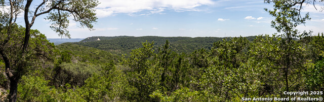 Listing photo id 14 for Tbd Lake View Trl