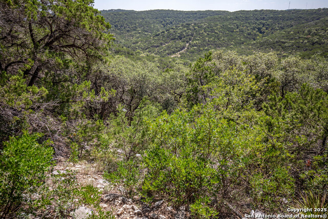 Listing photo id 17 for Tbd Lake View Trl