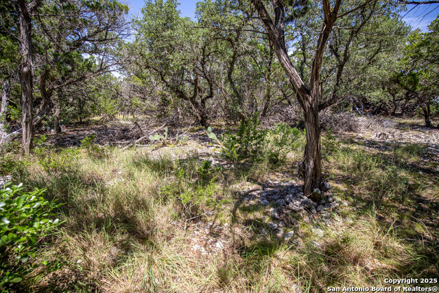 Listing photo id 18 for Tbd Lake View Trl