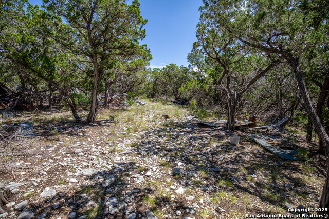 Listing photo id 19 for Tbd Lake View Trl