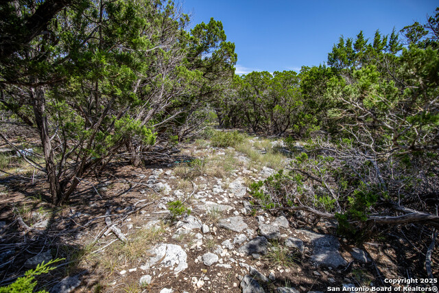 Listing photo id 20 for Tbd Lake View Trl