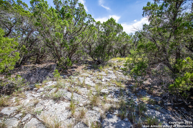 Listing photo id 24 for Tbd Lake View Trl