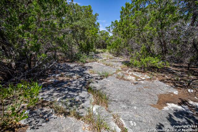 Listing photo id 25 for Tbd Lake View Trl