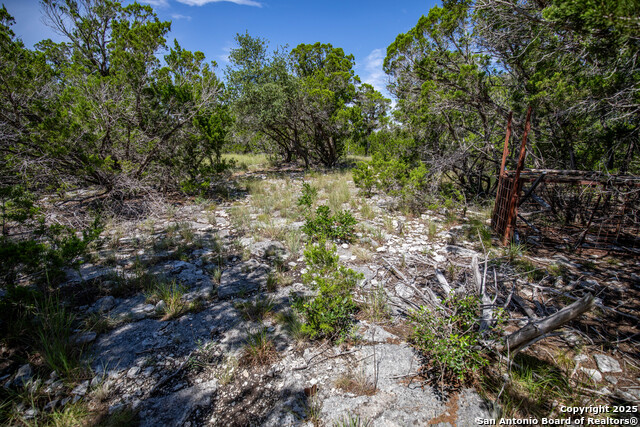Listing photo id 26 for Tbd Lake View Trl