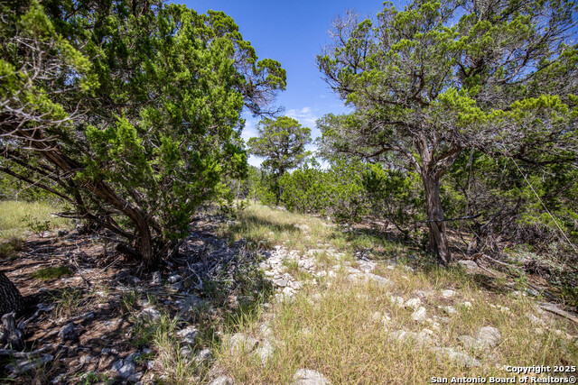 Listing photo id 27 for Tbd Lake View Trl