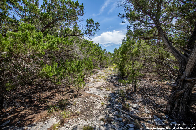 Listing photo id 28 for Tbd Lake View Trl