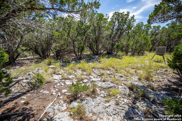 Listing photo id 29 for Tbd Lake View Trl