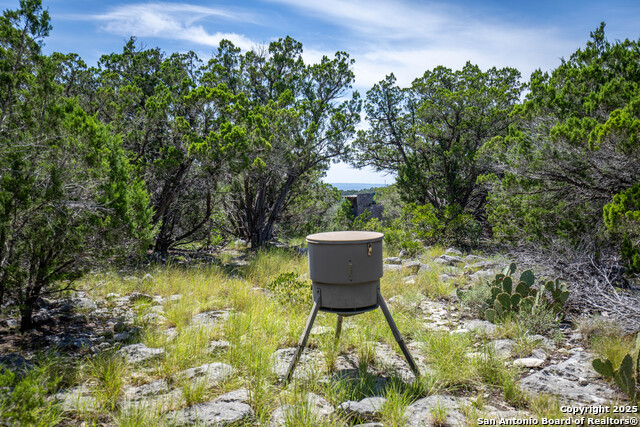 Listing photo id 30 for Tbd Lake View Trl
