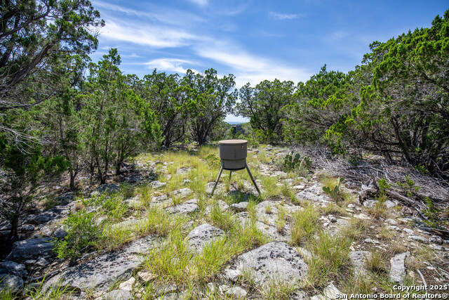 Listing photo id 31 for Tbd Lake View Trl