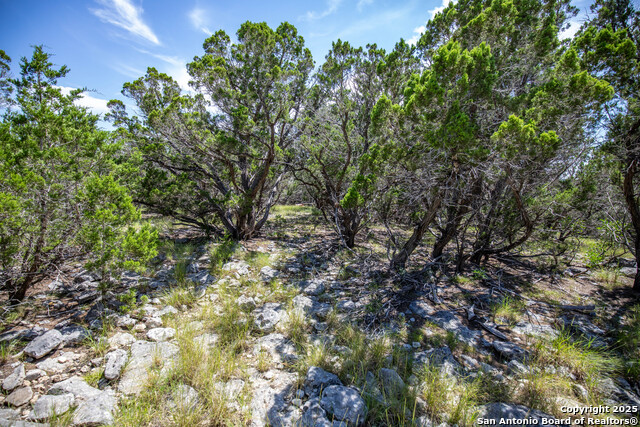 Listing photo id 32 for Tbd Lake View Trl