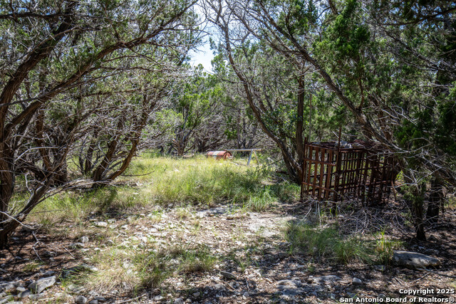Listing photo id 33 for Tbd Lake View Trl