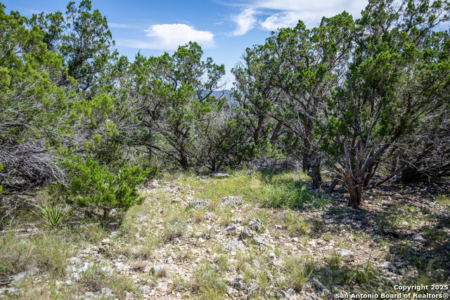 Listing photo id 34 for Tbd Lake View Trl