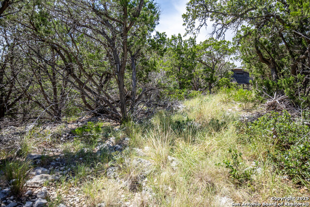 Listing photo id 35 for Tbd Lake View Trl