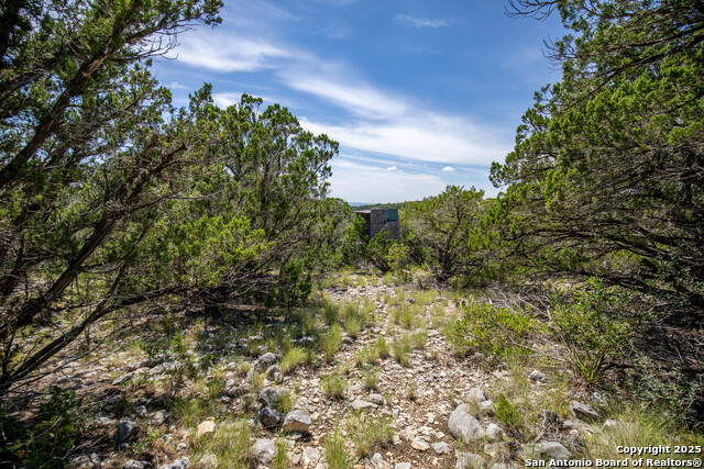 Listing photo id 37 for Tbd Lake View Trl