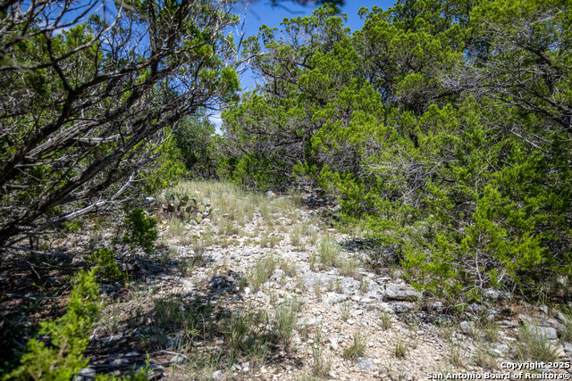 Listing photo id 40 for Tbd Lake View Trl