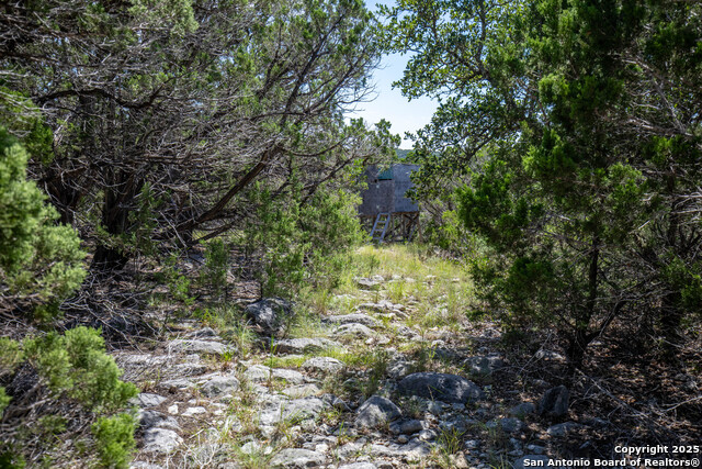 Listing photo id 41 for Tbd Lake View Trl