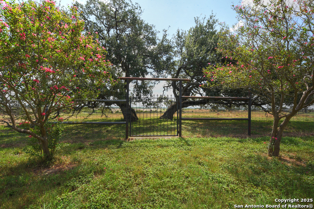 Listing photo id 34 for 6887 Von Ormy