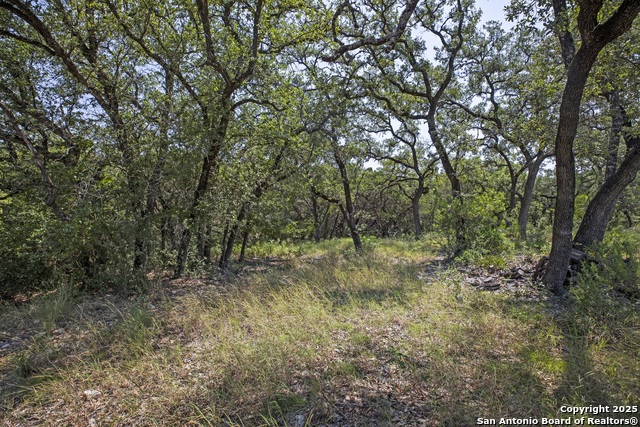 Listing photo id 9 for 13931 Old Scenic Loop Rd