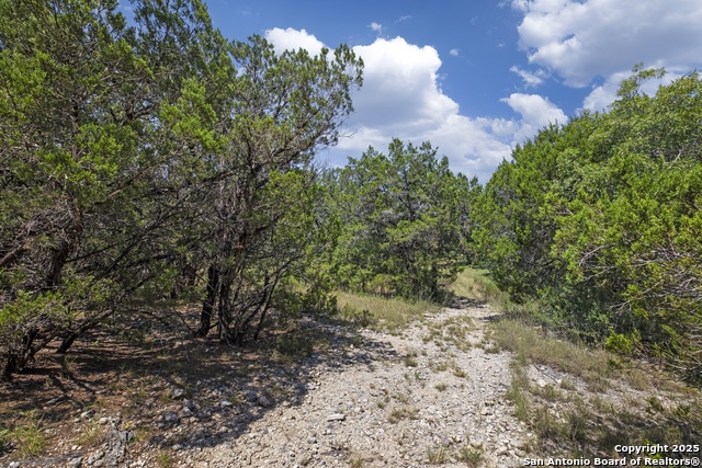 Listing photo id 10 for 13931 Old Scenic Loop Rd