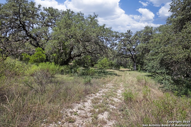 Listing photo id 11 for 13931 Old Scenic Loop Rd