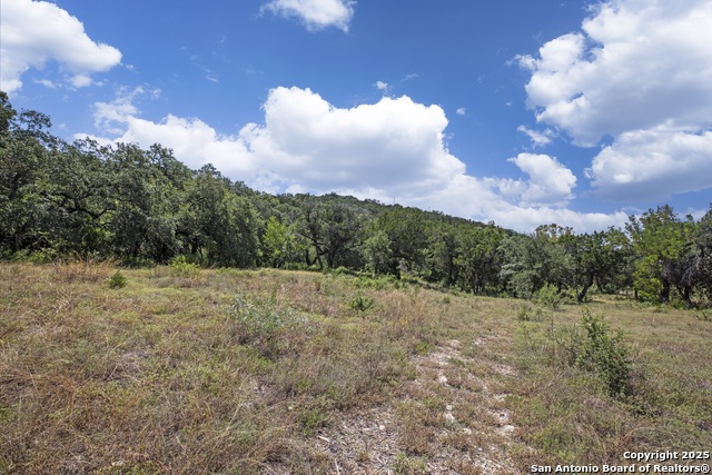 Listing photo id 19 for 13931 Old Scenic Loop Rd