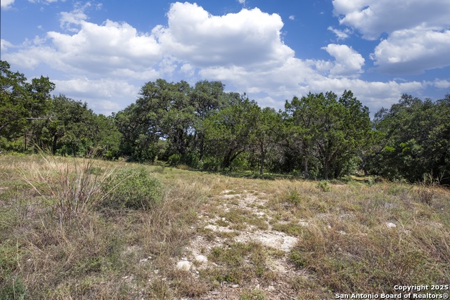 Listing photo id 20 for 13931 Old Scenic Loop Rd