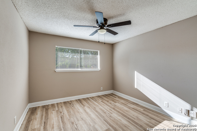 Image 16 of 25 For 14206 Short Horn