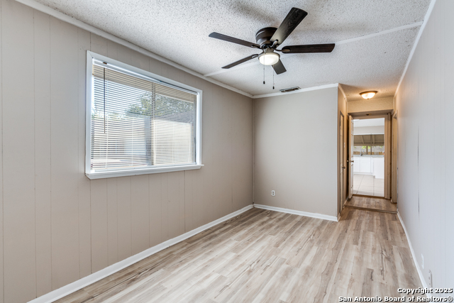 Image 8 of 25 For 14206 Short Horn