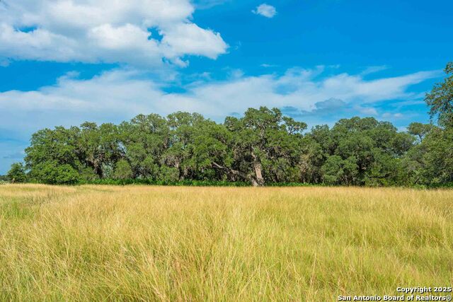 Image 10 of 31 For 0 Fm 1888  