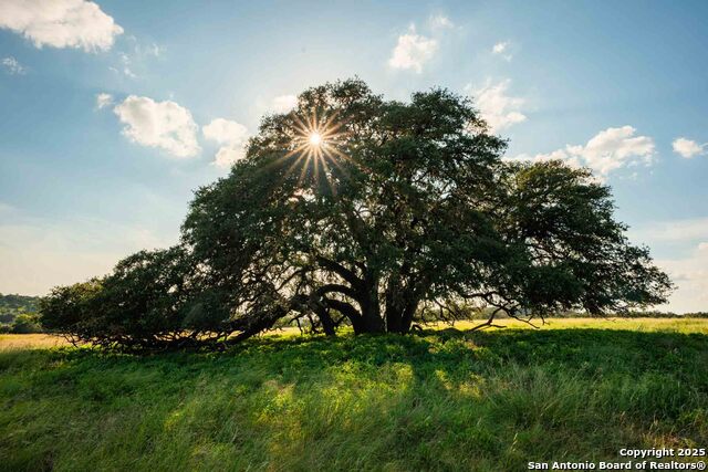 Image 21 of 31 For 0 Fm 1888  