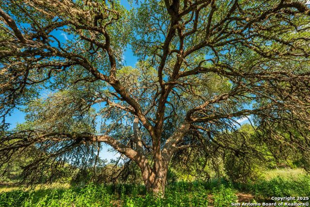 Image 29 of 31 For 0 Fm 1888  